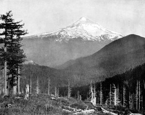Monte Hood, Oregon, USA, 1893 da John L. Stoddard