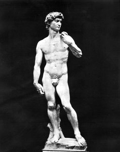 Statua di David, Firenze, Italia da John L. Stoddard