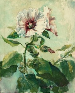 Studio di agrifogli rosa alla luce del sole, da Nature da John La Farge