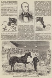 Mr J S Rarey, il domatore di cavalli americano