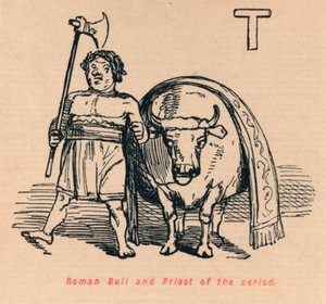 Toro romano e sacerdote del periodo