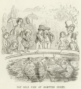 Il pesce rosso a Hampton Court da John Leech