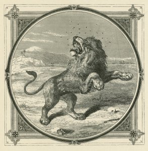 Il moscerino punge gli occhi del leone da John Leighton