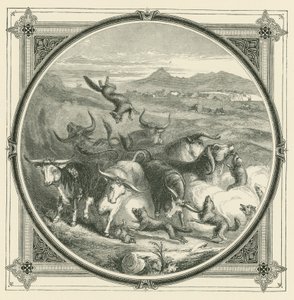 Quando arriva il lupo, i buoi smettono di combattere per unirsi in autodifesa da John Leighton