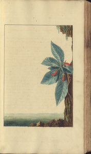 Una pagina da 