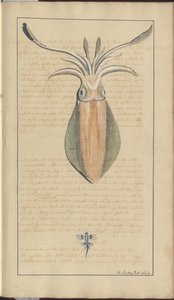 Lindsay Drawings Vol. VII, 29 da John Lindsay