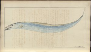 Disegni di Lindsay Vol. VII, 9
