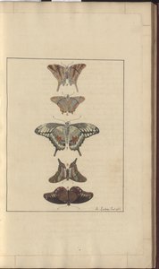 Disegni di Lindsay Vol. VI, 32 da John Lindsay