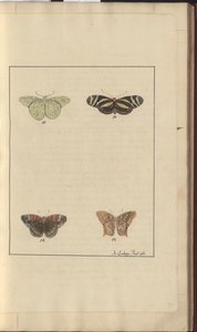 Lindsay Drawings Vol. VI, 36 da John Lindsay