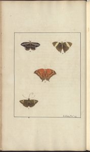 Disegni di Lindsay Vol. VI, 41 da John Lindsay
