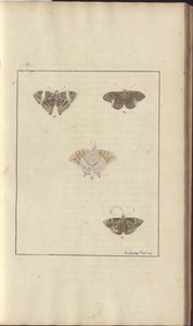 Disegni di Lindsay Vol. VI, 42 da John Lindsay