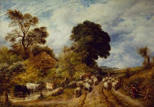 Una strada di campagna
