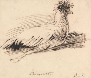 Una gallina da John Linnell