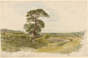 Un paesaggio nello Snowdonia con un albero in primo piano da John Linnell