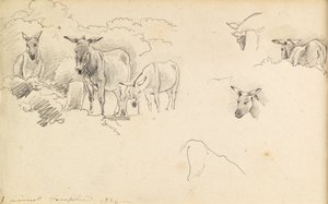 Asini da John Linnell