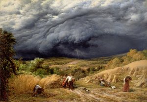 Tempesta nel raccolto