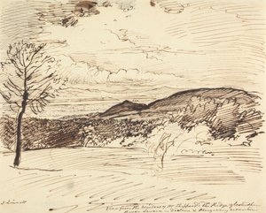 Vista dalla Finestra del Sig. Sheppard, The Ridge, Gloucestershire da John Linnell