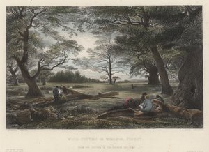 Taglio del legno nella foresta di Windsor (incisione colorata) da John Linnell