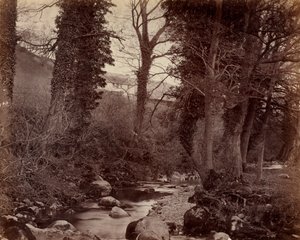 Senza Titolo, c. 1859 da John Lloyd