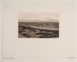 Spiaggia di Tisvilde