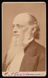 Ritratto di Paul Ansel Chadbourne 1823-1883, tra il 1872 e il 1875