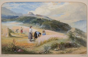 Campo di Raccolto, Arran da John MacWhirter