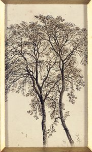 Studio di alberi da John MacWhirter