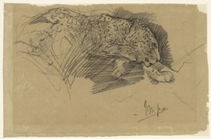 Studi di un leopardo da John Macallan Swan
