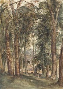Giardini di Kensington