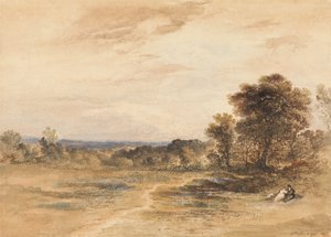 Paesaggio con coppia corteggiante da John Martin