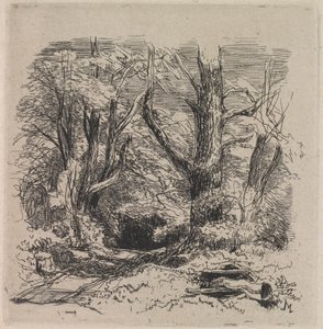 Un sentiero nel bosco da John Middleton