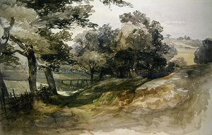 Un viale ombreggiato, Tunbridge Wells da John Middleton