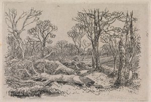 Legname Abbattuto, Burningham