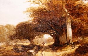 Paesaggio boschivo
