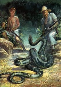 La famiglia Robinson da John Millar Watt