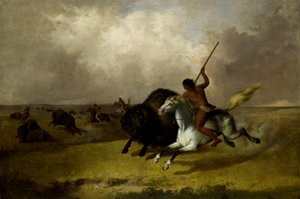 Caccia al Bisonte nelle Praterie del Sud-Ovest da John Mix Stanley