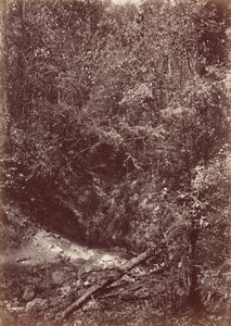Spedizione Darien, 1871 (foto) da John Moran