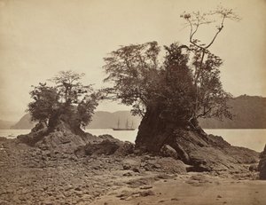 Isole nella baia di Limón, 1871 da John Moran