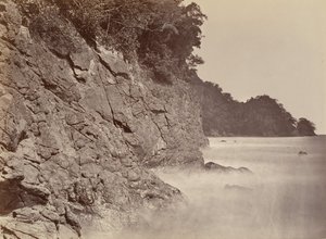 Scenario tropicale, scogliera - Baia di Limon, 1871 da John Moran