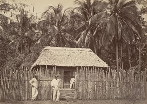 Scenari tropicali, capanna nativa, Turbo, 1871 da John Moran