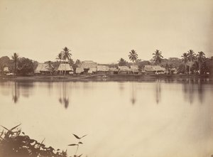 Paesaggio tropicale, Santa Maria del Real, Darien, 1871 da John Moran