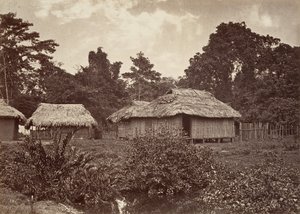 Paesaggio tropicale, Villaggio Turbo, 1871 da John Moran