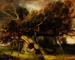La quercia di Cowthorpe