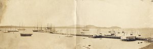 Porto di Auckland, 1865