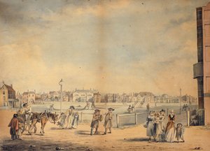 Brighton, con la biblioteca circolante di Miss Widgett, Marlborough House, il Castle Inn e le Assembly Rooms e il Marine Pavilion da John Nixon