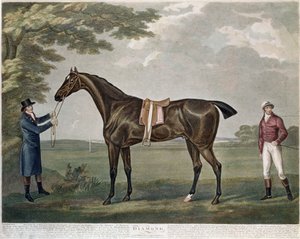 Il cavallo da corsa Diamond, c.1799