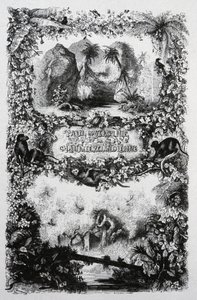 Paolo e Virginia, c.1860-1870 (incisione)