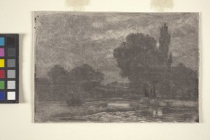 Paesaggio paludoso
