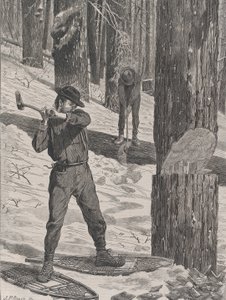 Taglio del legname in inverno Every Saturday, Vol. II, New Series, 28 gennaio 1871 da John Parker Davis