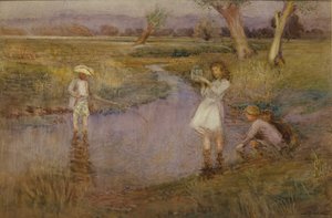 Catturare i Pesciolini - Town Meadows, Maidstone, Kent da John Pedder